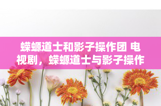 蝾螈道士和影子操作团 电视剧，蝾螈道士与影子操作团，神秘力量的背后故事