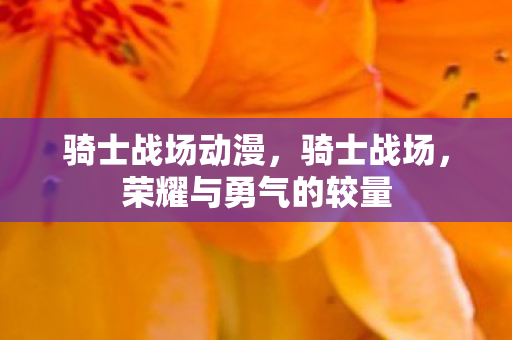 骑士战场动漫，骑士战场，荣耀与勇气的较量