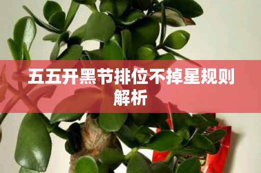 五五开黑节排位不掉星规则解析
