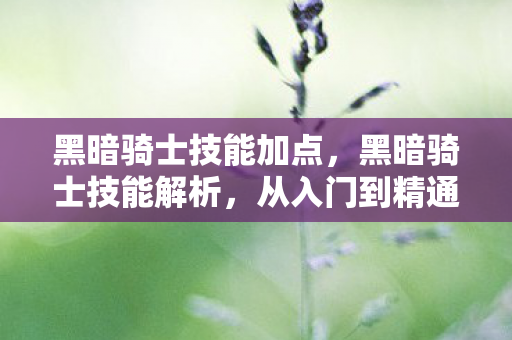 黑暗骑士技能加点,黑暗骑士技能解析,从入门到精通 黑暗骑士技能加点,黑暗骑士技能解析,从入门到精通