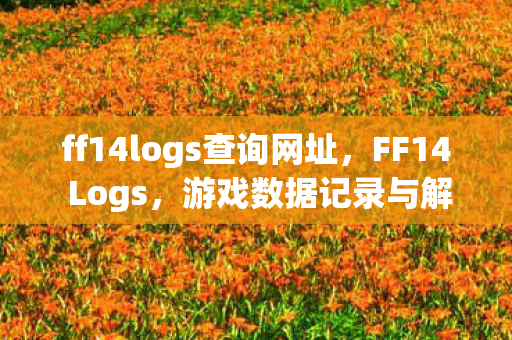 ff14logs查询网址，FF14 Logs，游戏数据记录与解析的重要性