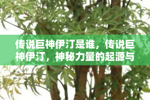 传说巨神伊汀是谁，传说巨神伊汀，神秘力量的起源与传承