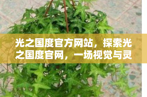 光之国度官方网站,探索光之国度官网,一场视觉与灵魂的奇幻旅程 光之国度官方网站,探索光之国度官网,一场视觉与灵魂的奇幻旅程