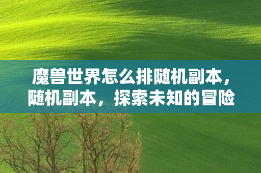 魔兽世界怎么排随机副本，随机副本，探索未知的冒险之旅