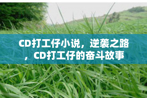CD打工仔小说,逆袭之路,CD打工仔的奋斗故事 CD打工仔小说,逆袭之路,CD打工仔的奋斗故事