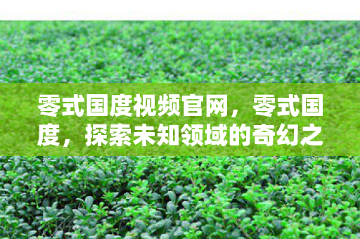 零式国度视频官网,零式国度,探索未知领域的奇幻之旅 零式国度视频官网,零式国度,探索未知领域的奇幻之旅