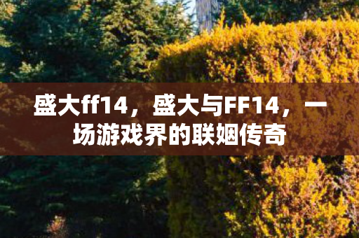 盛大ff14，盛大与FF14，一场游戏界的联姻传奇