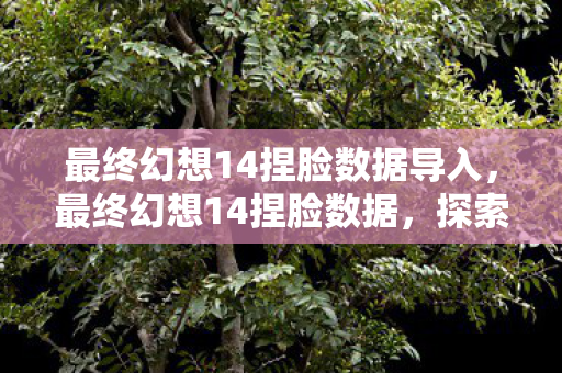 最终幻想14捏脸数据导入,最终幻想14捏脸数据,探索个性化角色的魅力之旅 最终幻想14捏脸数据导入,最终幻想14捏脸数据,探索个性化角色的魅力之旅