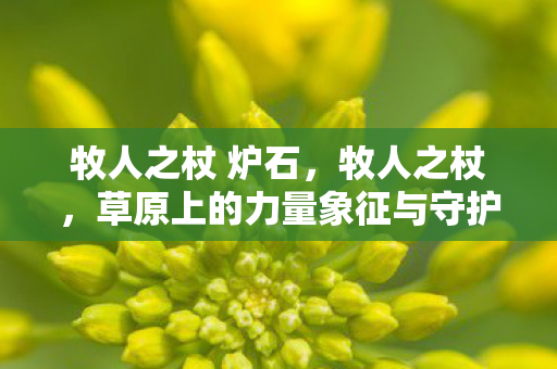 牧人之杖 炉石，牧人之杖，草原上的力量象征与守护者
