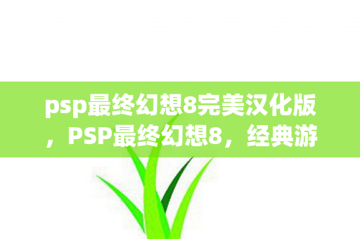 psp最终幻想8完美汉化版，PSP最终幻想8，经典游戏回顾与深度解析