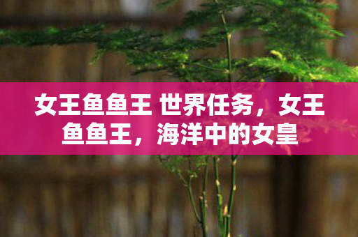 女王鱼鱼王 世界任务，女王鱼鱼王，海洋中的女皇