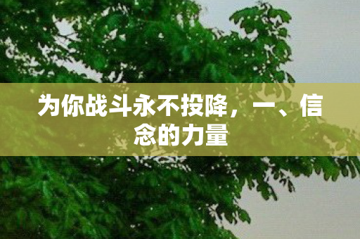 为你战斗永不投降,一、信念的力量 为你战斗永不投降,一、信念的力量