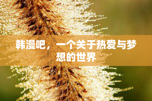 韩漫吧，一个关于热爱与梦想的世界