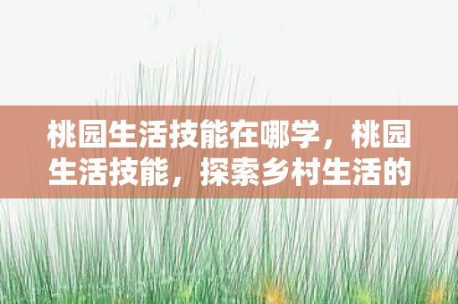 桃园生活技能在哪学，桃园生活技能，探索乡村生活的美好与实用技能