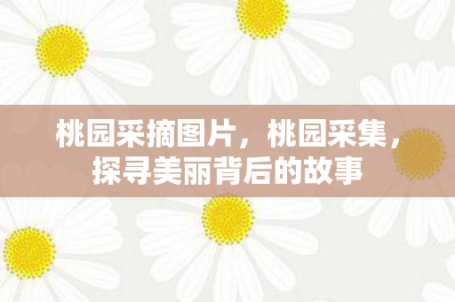 桃园采摘图片,桃园采集,探寻美丽背后的故事 桃园采摘图片,桃园采集,探寻美丽背后的故事