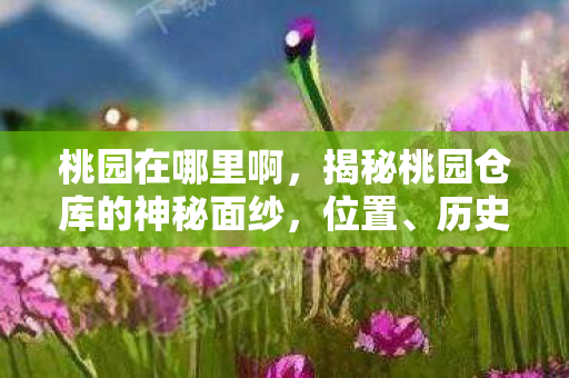 桃园在哪里啊，揭秘桃园仓库的神秘面纱，位置、历史与故事