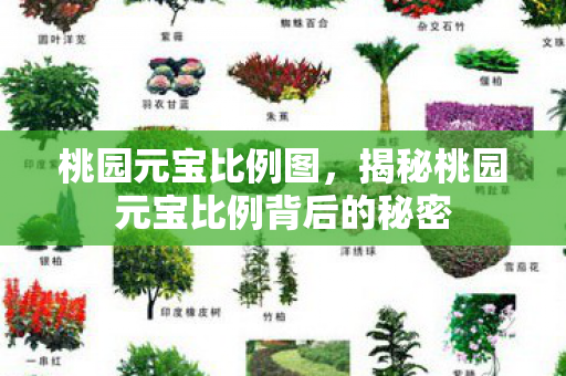 桃园元宝比例图，揭秘桃园元宝比例背后的秘密