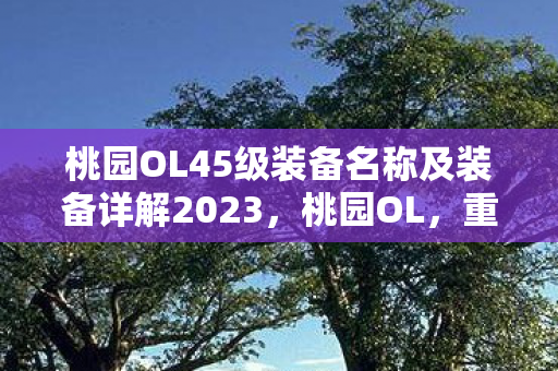 桃园OL45级装备名称及装备详解2023，桃园OL，重温经典，探寻不为人知的秘密