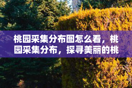 桃园采集分布图怎么看,桃园采集分布,探寻美丽的桃花源中的秘密 桃园采集分布图怎么看,桃园采集分布,探寻美丽的桃花源中的秘密