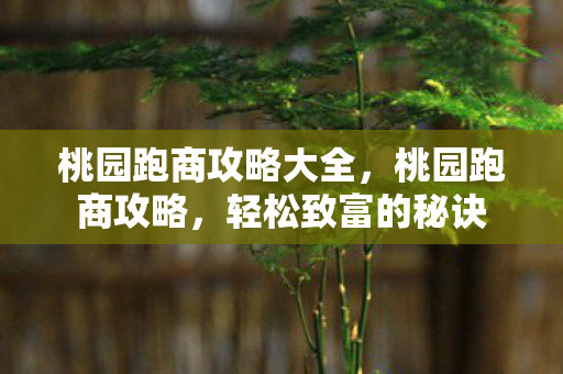 桃园跑商攻略大全，桃园跑商攻略，轻松致富的秘诀
