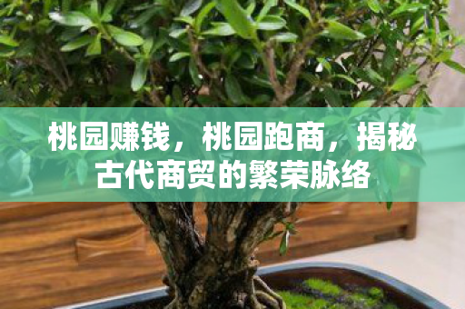 桃园赚钱，桃园跑商，揭秘古代商贸的繁荣脉络