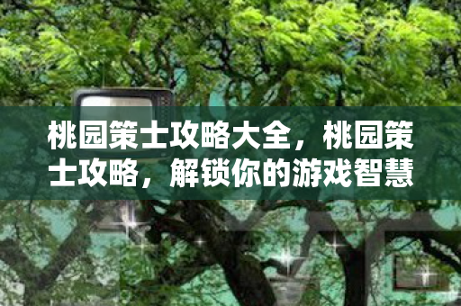 桃园策士攻略大全,桃园策士攻略,解锁你的游戏智慧 桃园策士攻略大全,桃园策士攻略,解锁你的游戏智慧