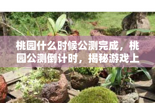 桃园什么时候公测完成,桃园公测倒计时,揭秘游戏上线时间与准备工作 桃园什么时候公测完成,桃园公测倒计时,揭秘游戏上线时间与准备工作