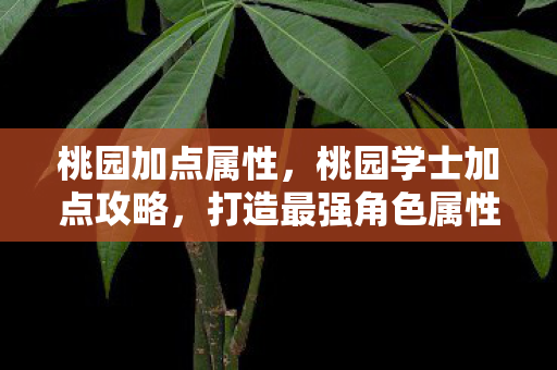 桃园加点属性，桃园学士加点攻略，打造最强角色属性分配