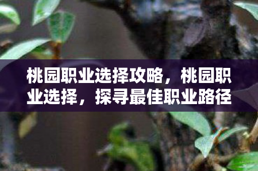 桃园职业选择攻略,桃园职业选择,探寻最佳职业路径,开启人生新篇章 桃园职业选择攻略,桃园职业选择,探寻最佳职业路径,开启人生新篇章
