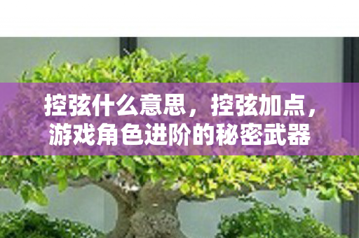 控弦什么意思,控弦加点,游戏角色进阶的秘密武器 控弦什么意思,控弦加点,游戏角色进阶的秘密武器