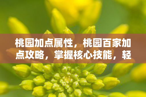 桃园加点属性，桃园百家加点攻略，掌握核心技能，轻松提升角色实力