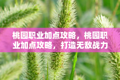 桃园职业加点攻略，桃园职业加点攻略，打造无敌战力组合