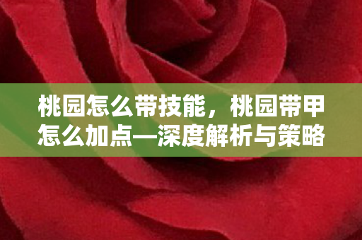 桃园怎么带技能,桃园带甲怎么加点—深度解析与策略建议 桃园怎么带技能,桃园带甲怎么加点—深度解析与策略建议