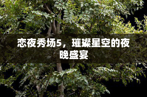 恋夜秀场5,璀璨星空的夜晚盛宴 恋夜秀场5,璀璨星空的夜晚盛宴