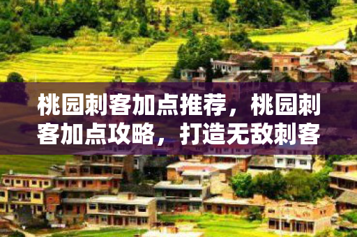 桃园刺客加点推荐,桃园刺客加点攻略,打造无敌刺客之路 桃园刺客加点推荐,桃园刺客加点攻略,打造无敌刺客之路