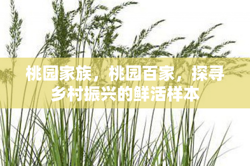 桃园家族,桃园百家,探寻乡村振兴的鲜活样本 桃园家族,桃园百家,探寻乡村振兴的鲜活样本