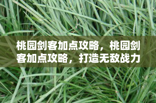 桃园剑客加点攻略,桃园剑客加点攻略,打造无敌战力组合! 桃园剑客加点攻略,桃园剑客加点攻略,打造无敌战力组合!