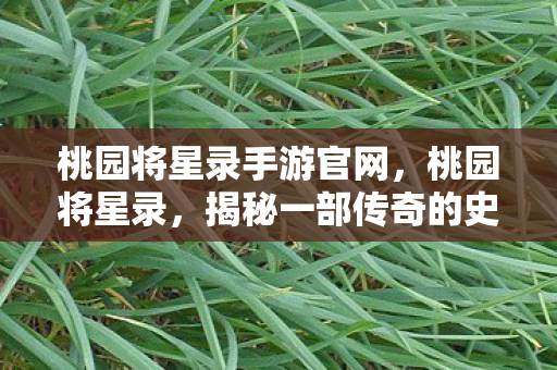 桃园将星录手游官网，桃园将星录，揭秘一部传奇的史诗巨作