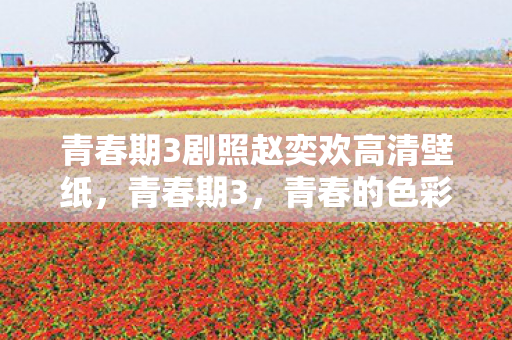 青春期3剧照赵奕欢高清壁纸，青春期3，青春的色彩与成长的印记