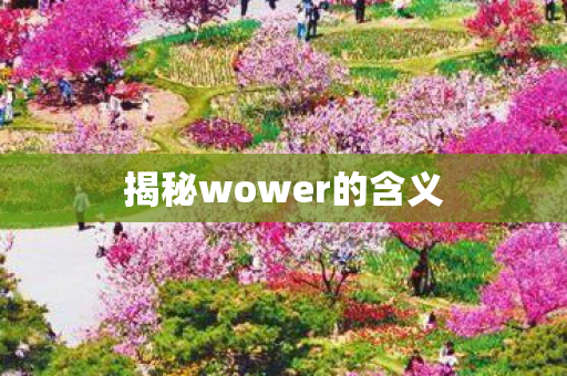 揭秘wower的含义 揭秘wower的含义