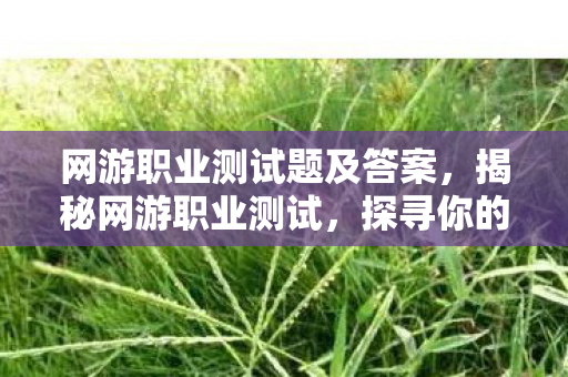 网游职业测试题及答案，揭秘网游职业测试，探寻你的游戏天赋与潜力