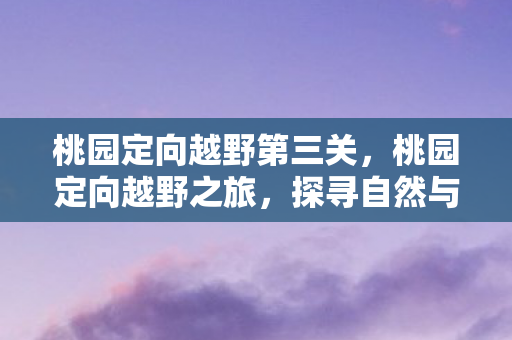 桃园定向越野第三关,桃园定向越野之旅,探寻自然与竞技的完美结合 桃园定向越野第三关,桃园定向越野之旅,探寻自然与竞技的完美结合