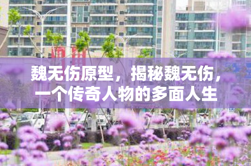 魏无伤原型,揭秘魏无伤,一个传奇人物的多面人生 魏无伤原型,揭秘魏无伤,一个传奇人物的多面人生