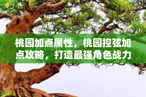 桃园加点属性,桃园控弦加点攻略,打造最强角色战力 桃园加点属性,桃园控弦加点攻略,打造最强角色战力