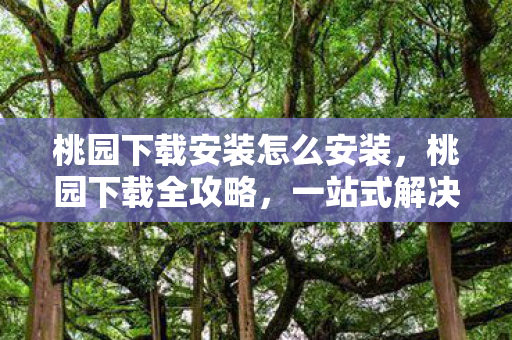 桃园下载安装怎么安装，桃园下载全攻略，一站式解决你的软件安装需求