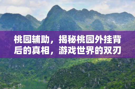 桃园辅助，揭秘桃园外挂背后的真相，游戏世界的双刃剑