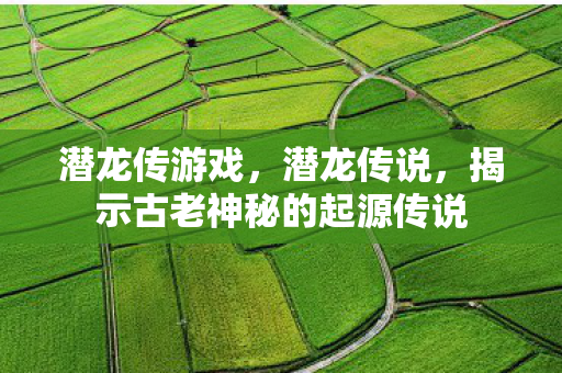 潜龙传游戏，潜龙传说，揭示古老神秘的起源传说