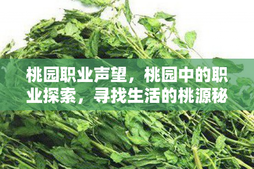桃园职业声望,桃园中的职业探索,寻找生活的桃源秘境 桃园职业声望,桃园中的职业探索,寻找生活的桃源秘境