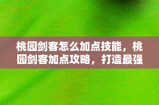 桃园剑客怎么加点技能，桃园剑客加点攻略，打造最强剑客之路