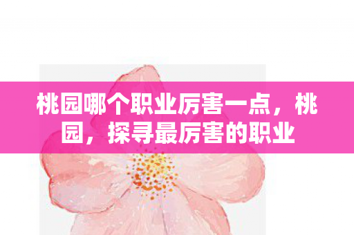 桃园哪个职业厉害一点，桃园，探寻最厉害的职业